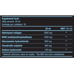BIOTECH USA Arthro Guard Liquid - 500 ml